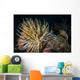 Night Diving Shows Life Wall Decal