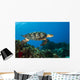 Hawksbille Sea Turtles Search Wall Decal