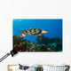 Hawksbille Sea Turtles Search Wall Decal