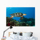 Hawksbille Sea Turtles Search Wall Decal
