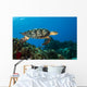 Hawksbille Sea Turtles Search Wall Decal