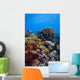 Coral Reef Caribbean Blue Wall Decal
