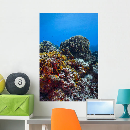 Coral Reef Caribbean Blue Wall Decal