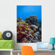 Coral Reef Caribbean Blue Wall Decal