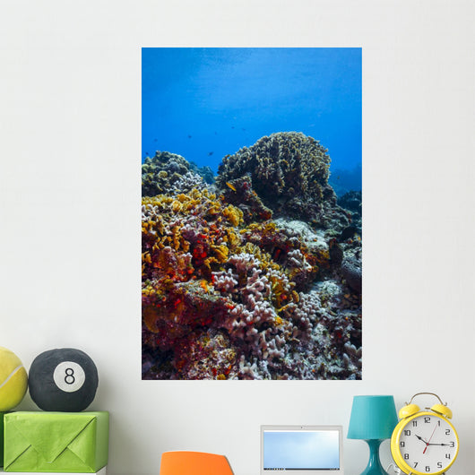 Coral Reef Caribbean Blue Wall Decal