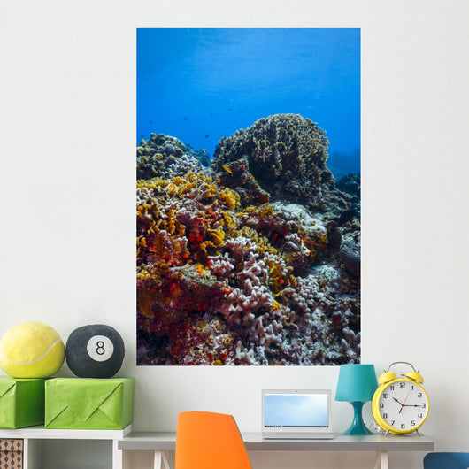 Coral Reef Caribbean Blue Wall Decal