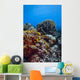 Coral Reef Caribbean Blue Wall Decal