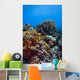 Coral Reef Caribbean Blue Wall Decal