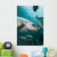 Bermuda Chub Caribbean Sea Wall Decal