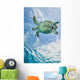 Hawskbille Sea Turtle Cozumel Wall Decal