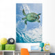 Hawskbille Sea Turtle Cozumel Wall Decal