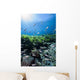 Mexican Tetra Fish San Wall Decal