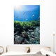 Mexican Tetra Fish San Wall Decal