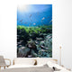 Mexican Tetra Fish San Wall Decal