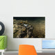 Blind Crawfish Inhabit Peacock Wall Decal