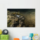 Blind Crawfish Inhabit Peacock Wall Decal