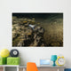 Blind Crawfish Inhabit Peacock Wall Decal