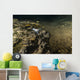 Blind Crawfish Inhabit Peacock Wall Decal