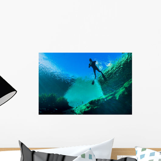 Freediver Jackson Blue Springs Wall Decal