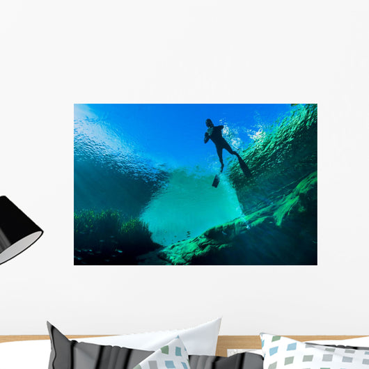 Freediver Jackson Blue Springs Wall Decal
