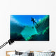 Freediver Jackson Blue Springs Wall Decal