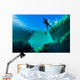 Freediver Jackson Blue Springs Wall Decal