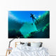 Freediver Jackson Blue Springs Wall Decal