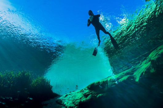 Freediver Jackson Blue Springs Wall Decal