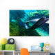 Freediver Swims Away Jackson Wall Decal
