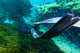 Freediver Swims Away Jackson Wall Decal