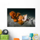 Giant Plumose Anemones Seafloor Light Wall Decal