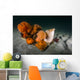 Giant Plumose Anemones Seafloor Light Wall Decal