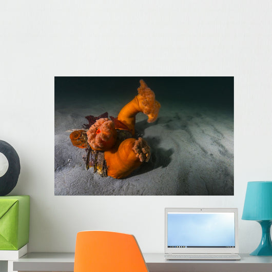 Giant Plumose Anemones Seafloor Wall Decal