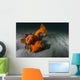 Giant Plumose Anemones Seafloor Wall Decal