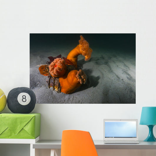 Giant Plumose Anemones Seafloor Wall Decal