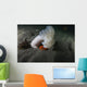 Giant Plumose Anemone Puget Wall Decal