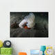 Giant Plumose Anemone Puget Wall Decal