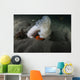 Giant Plumose Anemone Puget Wall Decal