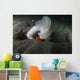 Giant Plumose Anemone Puget Wall Decal