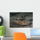 Speckled Sanddab Flounder Puget Wall Decal