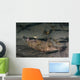 Speckled Sanddab Flounder Puget Wall Decal