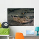 Speckled Sanddab Flounder Puget Wall Decal