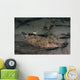 Speckled Sanddab Flounder Puget Wall Decal