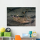 Speckled Sanddab Flounder Puget Wall Decal