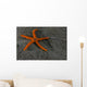 Pacific Blood Star Wall Decal