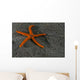 Pacific Blood Star Wall Decal