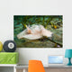 Lewis's Moon Snail Carrying Wall Decal