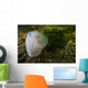 Giant Plumose Anemone Puget Close-up Wall Decal