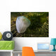 Giant Plumose Anemone Puget Close-up Wall Decal
