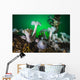 These Plumose Anemone Rise Wall Decal
